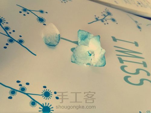 卫生纸做兰水仙 第10步