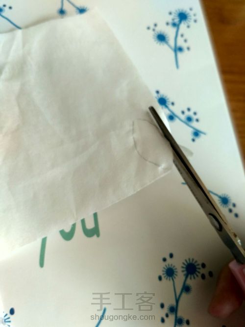 卫生纸做兰水仙 第3步