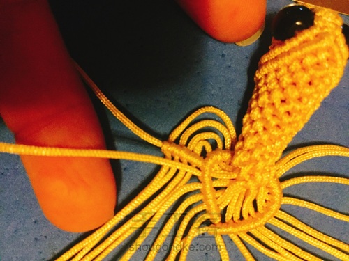 小金鱼之立体小金鱼 第60步