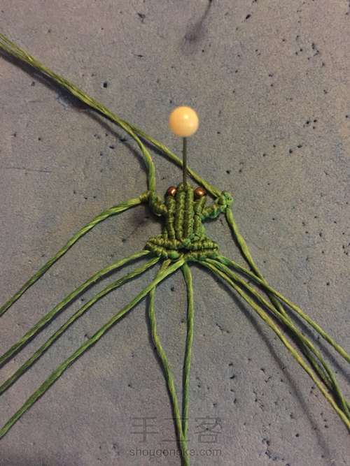 小青蛙🐸 第12步