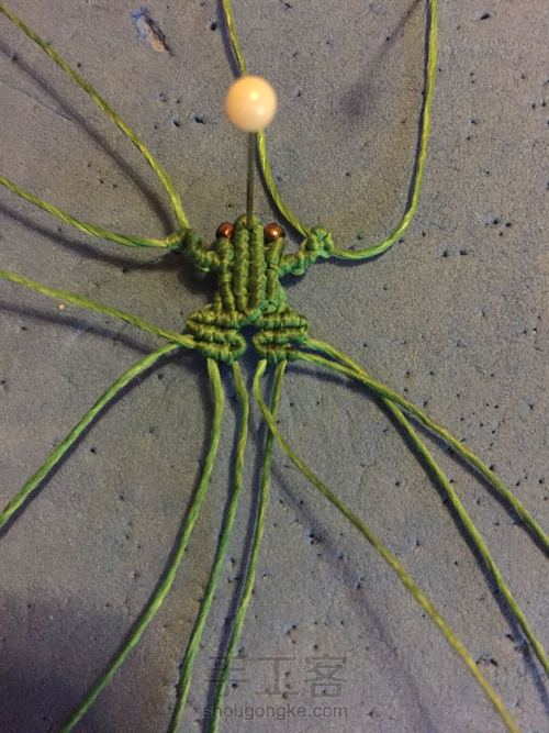 小青蛙🐸 第13步