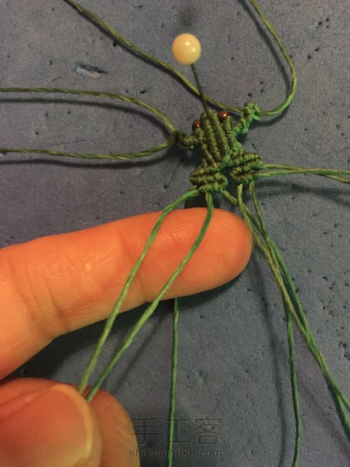 小青蛙🐸 第14步