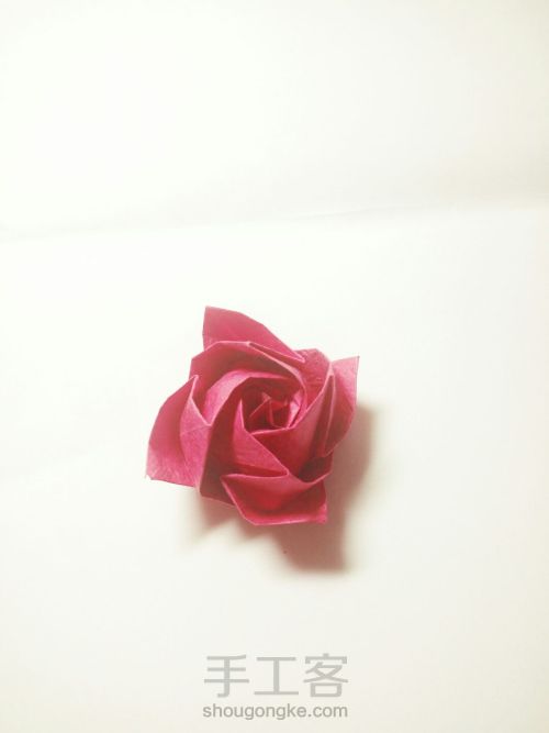 卷心玫瑰🌹 第75步