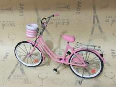 (转)粉粉的小自行车
