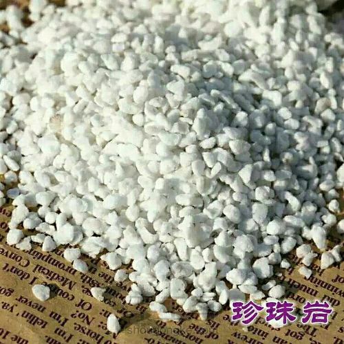 多肉专用土里有多少学问 第11步