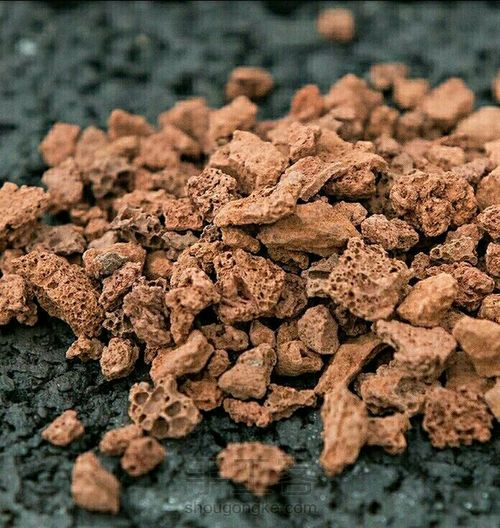 多肉专用土里有多少学问 第12步