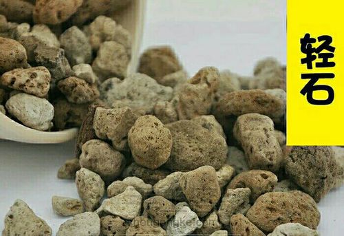 多肉专用土里有多少学问 第16步