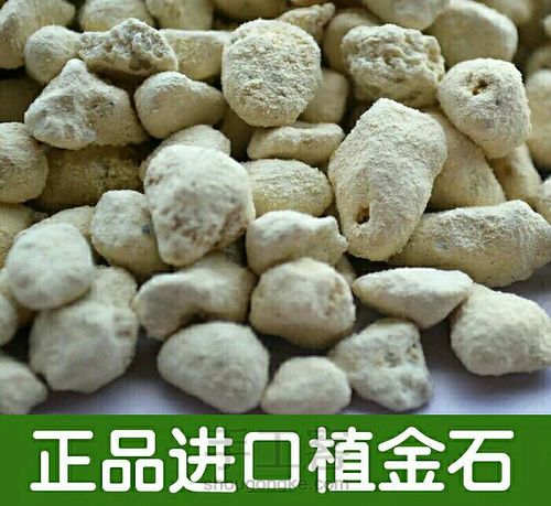 多肉专用土里有多少学问 第21步