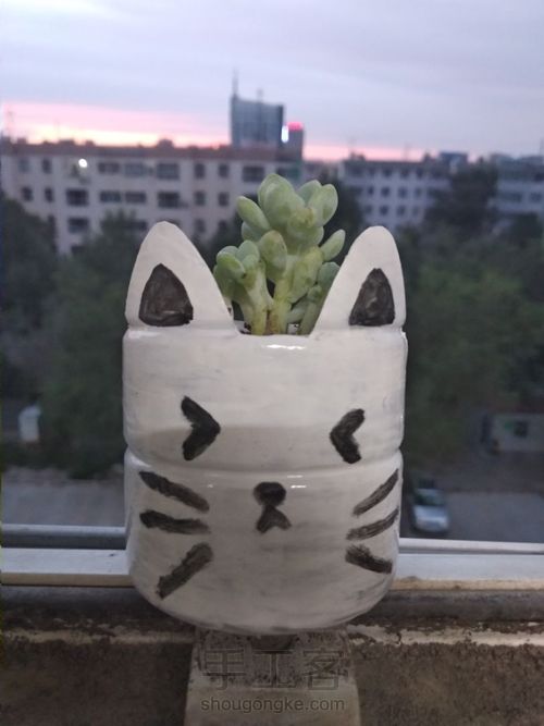 自制多肉花盆 第4步