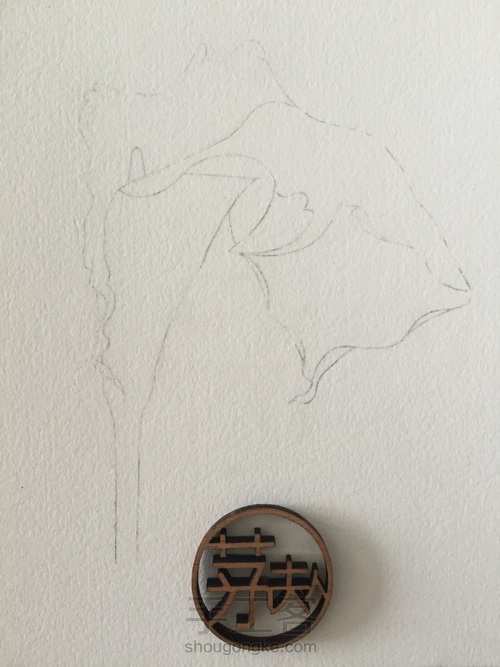 茅夫人超详细水彩花卉教程06篇 第9步