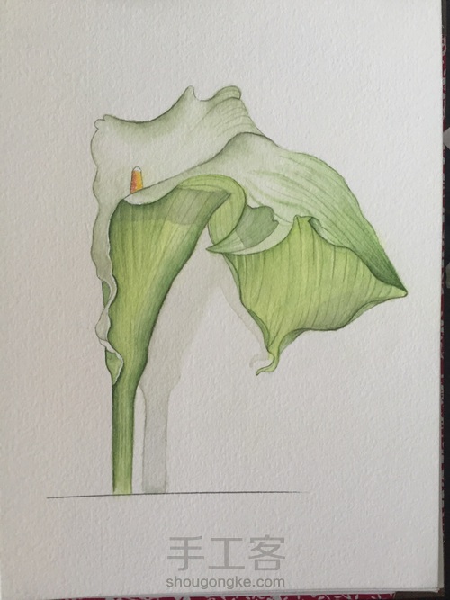 茅夫人超详细水彩花卉教程06篇 第22步