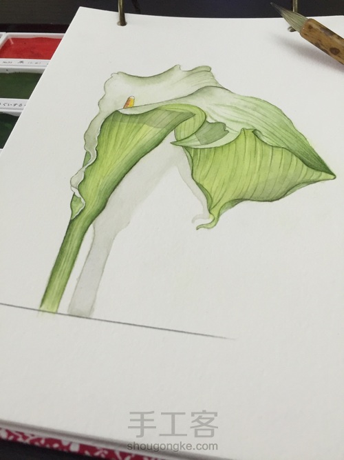 茅夫人超详细水彩花卉教程06篇 第24步