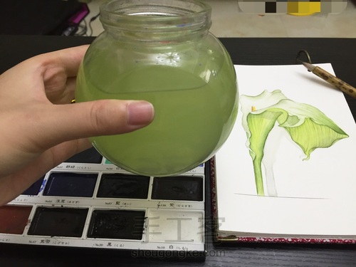 茅夫人超详细水彩花卉教程06篇 第25步