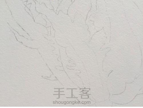 如何画逼真叶子，看这篇教程就够了 第4步