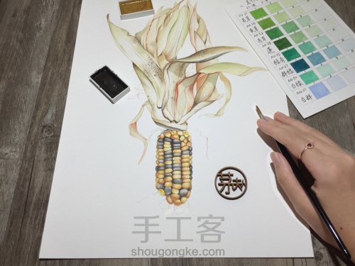如何画一颗逼真的玉米？ 第1步