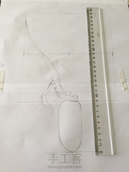 如何画一颗逼真的玉米? 第4步