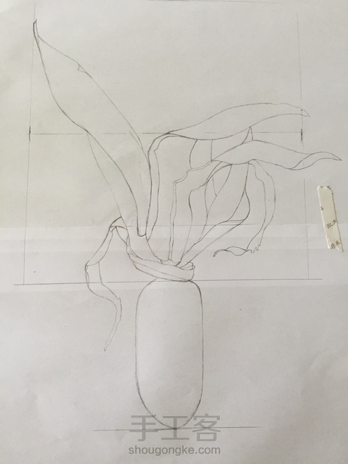 如何画一颗逼真的玉米? 第5步