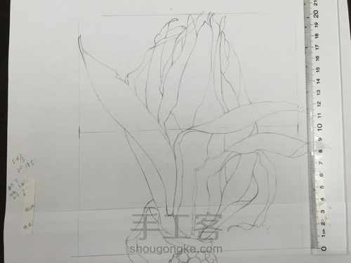 如何画一颗逼真的玉米? 第6步