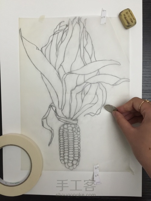 如何画一颗逼真的玉米？ 第12步
