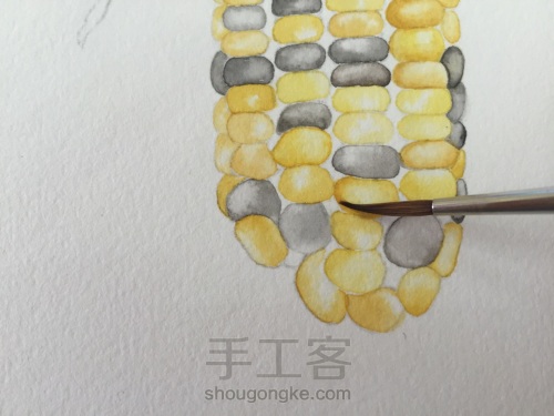 如何画一颗逼真的玉米？ 第24步