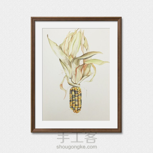 如何画一颗逼真的玉米? 第46步