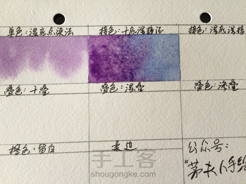 这5个技法，搞定所有写实水彩花卉！ 第7步