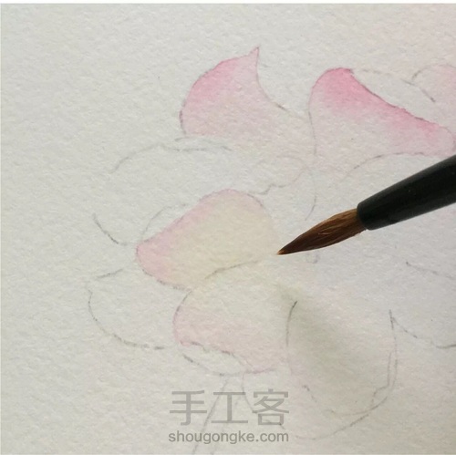 这5个技法，搞定所有写实水彩花卉！ 第9步