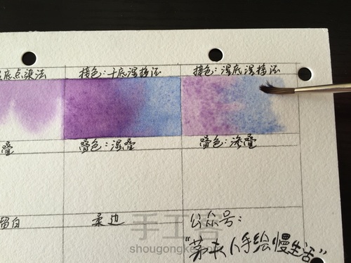 这5个技法，搞定所有写实水彩花卉！ 第11步