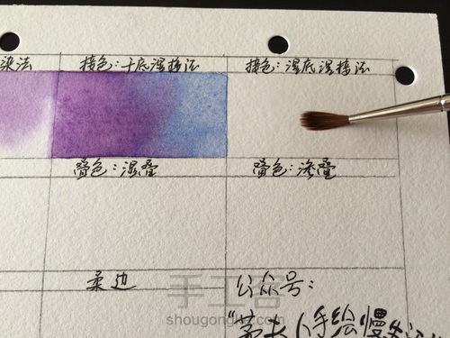 这5个技法，搞定所有写实水彩花卉！ 第10步