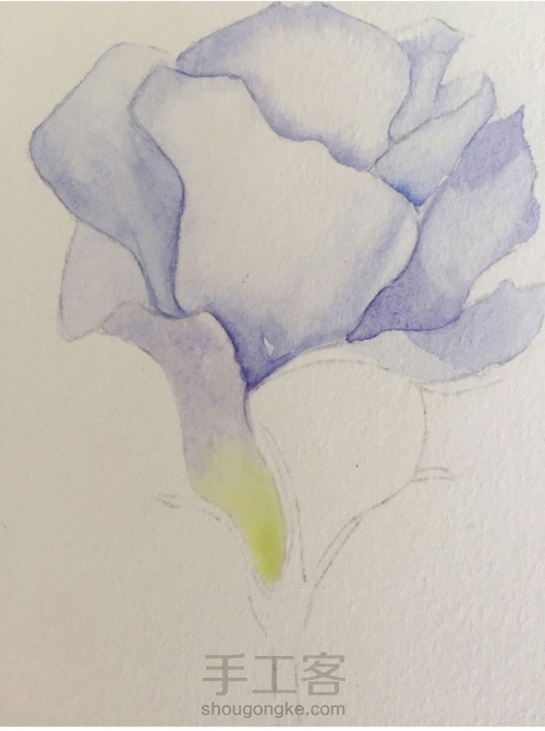 这5个技法，搞定所有写实水彩花卉！ 第13步