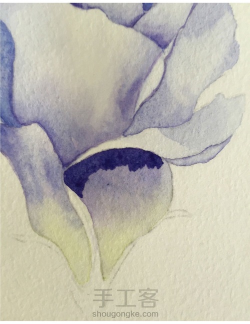 这5个技法，搞定所有写实水彩花卉！ 第16步