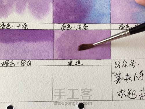 这5个技法，搞定所有写实水彩花卉！ 第17步