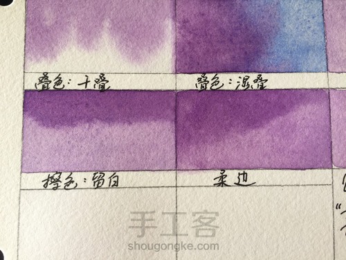 这5个技法，搞定所有写实水彩花卉！ 第19步