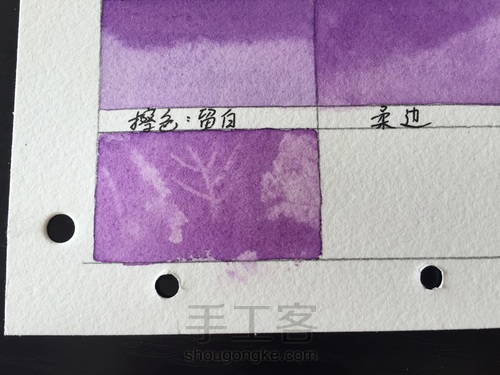 这5个技法，搞定所有写实水彩花卉！ 第25步