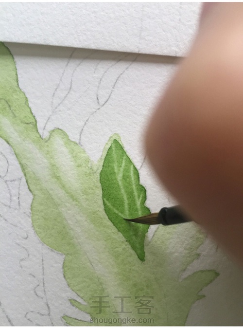 这5个技法，搞定所有写实水彩花卉！ 第26步