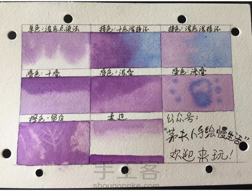 这5个技法，搞定所有写实水彩花卉！ 第31步