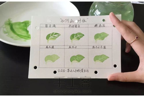 画叶脉,如何搞定“水份”这个小贱人! 第1步