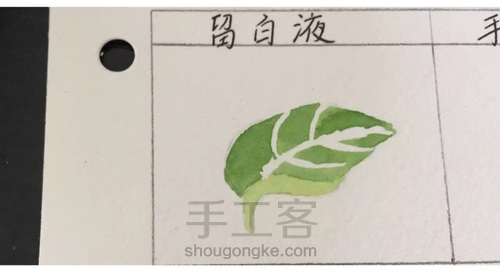 画叶脉,如何搞定“水份”这个小贱人! 第2步