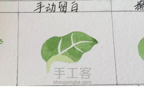 画叶脉,如何搞定“水份”这个小贱人! 第3步