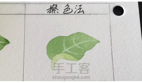 画叶脉,如何搞定“水份”这个小贱人! 第4步