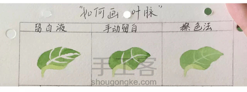 画叶脉,如何搞定“水份”这个小贱人! 第5步