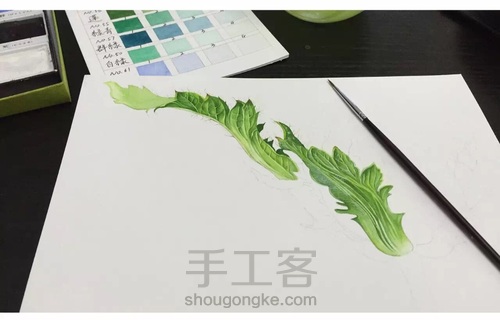 画叶脉,如何搞定“水份”这个小贱人! 第6步