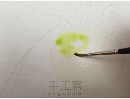 画叶脉,如何搞定“水份”这个小贱人! 第18步