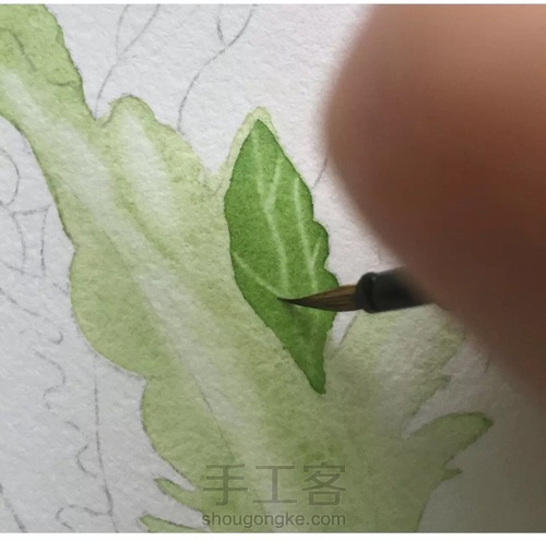 画叶脉,如何搞定“水份”这个小贱人! 第19步
