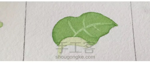 画叶脉,如何搞定“水份”这个小贱人! 第20步