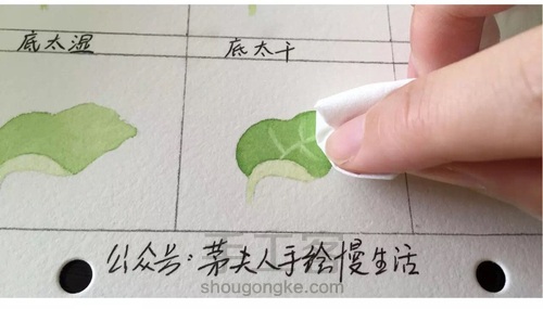 画叶脉,如何搞定“水份”这个小贱人! 第21步