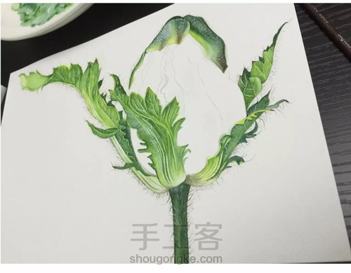 画叶脉,如何搞定“水份”这个小贱人! 第22步