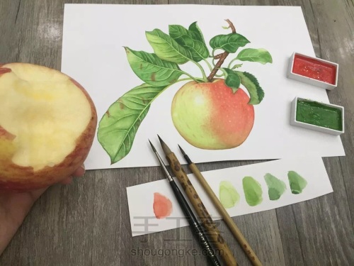 画残了2张水彩纸，第3张终于get到画苹果的技法！ 第1步