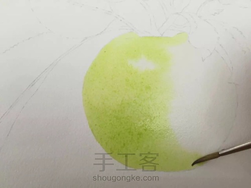 画残了2张水彩纸，第3张终于get到画苹果的技法！ 第16步