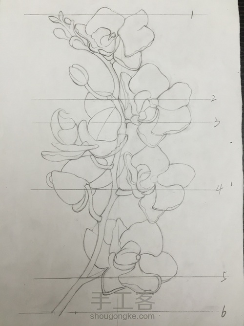 零基础自学水彩不到1年时间竟能画成这样！！ 第5步